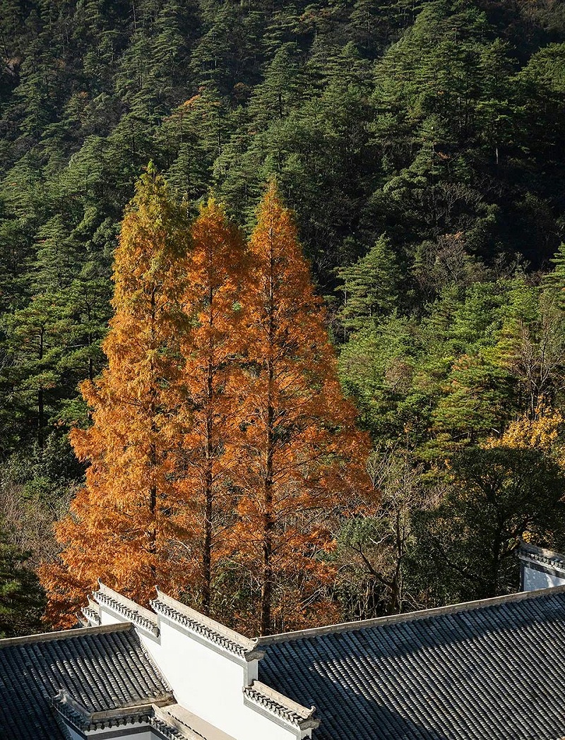 艺加酒店设计为您分享黄山·祥源云谷度假酒店设计观点